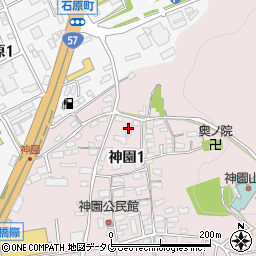 上野ハイツ周辺の地図