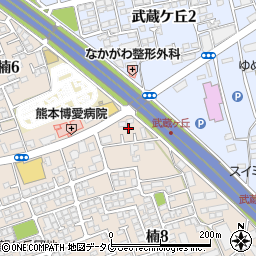 熊本県熊本市北区楠8丁目9周辺の地図