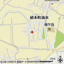 熊本県熊本市北区植木町滴水205-22周辺の地図