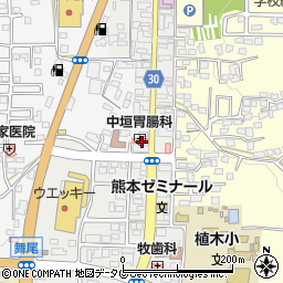 熊本県熊本市北区植木町植木周辺の地図