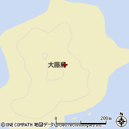 大藤島周辺の地図
