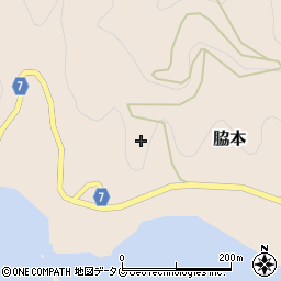 愛媛県南宇和郡愛南町脇本725周辺の地図