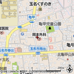 熊本県玉名市亀甲249-1周辺の地図