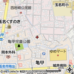 熊本県玉名市亀甲272周辺の地図