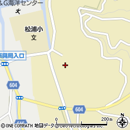 大分県佐伯市鶴見大字沖松浦745-1周辺の地図