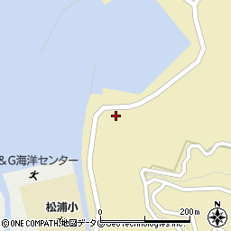 大分県佐伯市鶴見大字沖松浦813-2周辺の地図