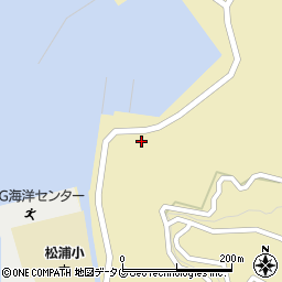 大分県佐伯市鶴見大字沖松浦814周辺の地図