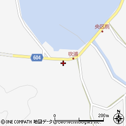 大分県佐伯市鶴見大字吹浦133-1周辺の地図