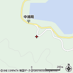 愛媛県南宇和郡愛南町中浦784周辺の地図
