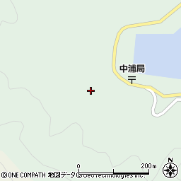 愛媛県南宇和郡愛南町中浦916周辺の地図