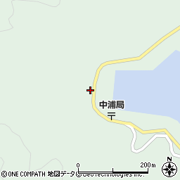 愛媛県南宇和郡愛南町中浦1262周辺の地図