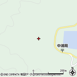 愛媛県南宇和郡愛南町中浦1156周辺の地図