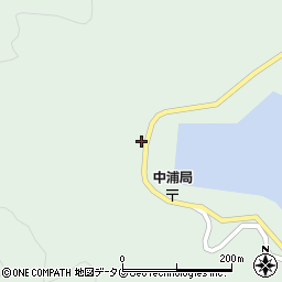 愛媛県南宇和郡愛南町中浦1265周辺の地図