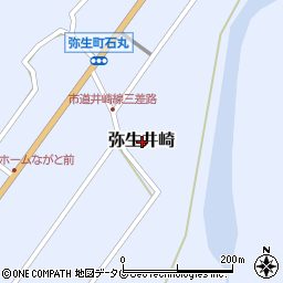 大分県佐伯市弥生大字井崎周辺の地図