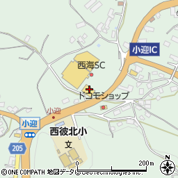 長崎県西海市西彼町小迎郷1037周辺の地図