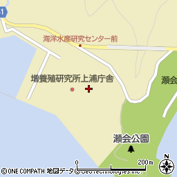 水産総合研究センター　上浦栽培漁業センター周辺の地図