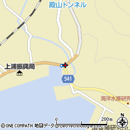 津井周辺の地図
