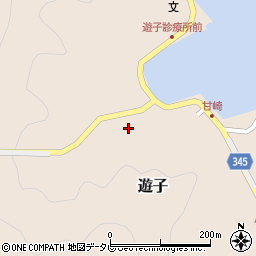 愛媛県宇和島市遊子3905周辺の地図