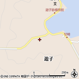 愛媛県宇和島市遊子3901周辺の地図