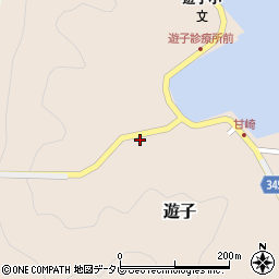 愛媛県宇和島市遊子3902周辺の地図