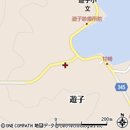 愛媛県宇和島市遊子3904周辺の地図