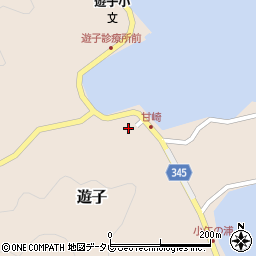 愛媛県宇和島市遊子3934周辺の地図