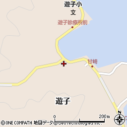 愛媛県宇和島市遊子3918周辺の地図