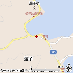 愛媛県宇和島市遊子3929周辺の地図