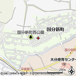 大分県大分市国分新町17-3周辺の地図