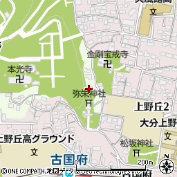 大分県大分市上野734周辺の地図