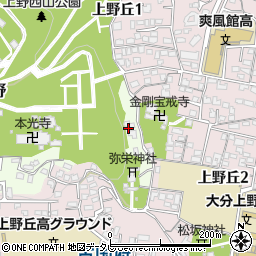 大分県大分市上野728周辺の地図