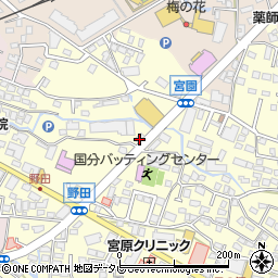 株式会社天年堂　本社・店舗周辺の地図
