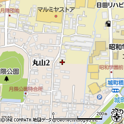 大分県日田市日ノ出町217周辺の地図