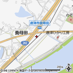 佐賀県唐津市養母田441-1周辺の地図