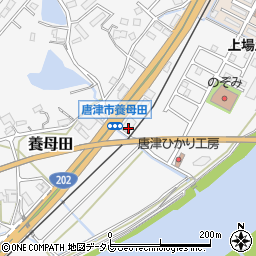 佐賀県唐津市養母田508周辺の地図