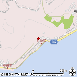 愛媛県八幡浜市向灘2247周辺の地図