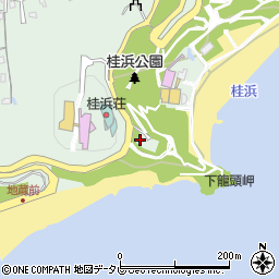 高知灯台周辺の地図