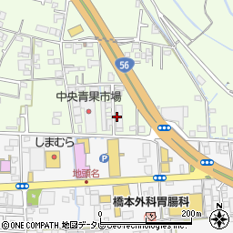 土佐総合青果株式会社周辺の地図