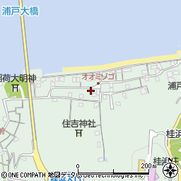 高知県高知市浦戸155周辺の地図