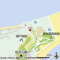 桂浜周辺の地図