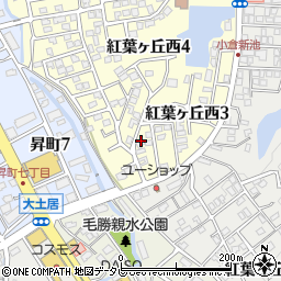 福岡県春日市紅葉ヶ丘西3丁目113周辺の地図