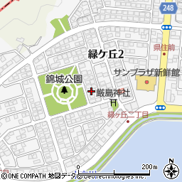 高知県南国市緑ケ丘2丁目2011周辺の地図