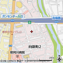 福岡県福岡市南区向新町周辺の地図