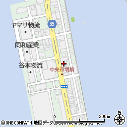 高知鯨周辺の地図