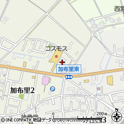新生堂薬局加布里店周辺の地図