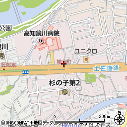 高知県高知市城山町214-38周辺の地図