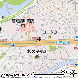 高知県高知市城山町214-1周辺の地図