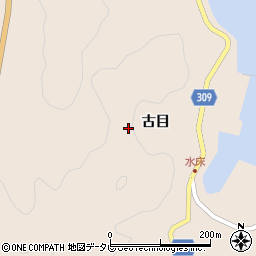 勝浦渡船周辺の地図