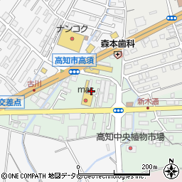 高知県高知市高須東町6-5周辺の地図