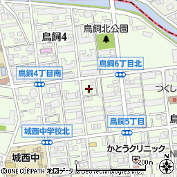 福岡県福岡市城南区鳥飼6丁目17周辺の地図